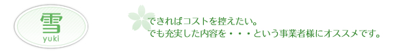 サクラコーポレーション 雪